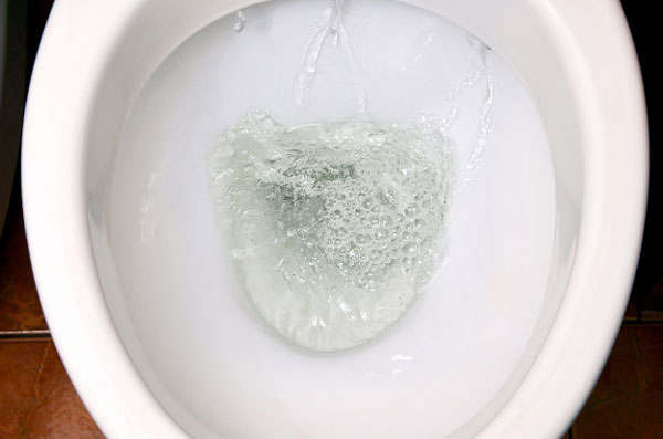 Plumbing Trap Water Seal in Toilet