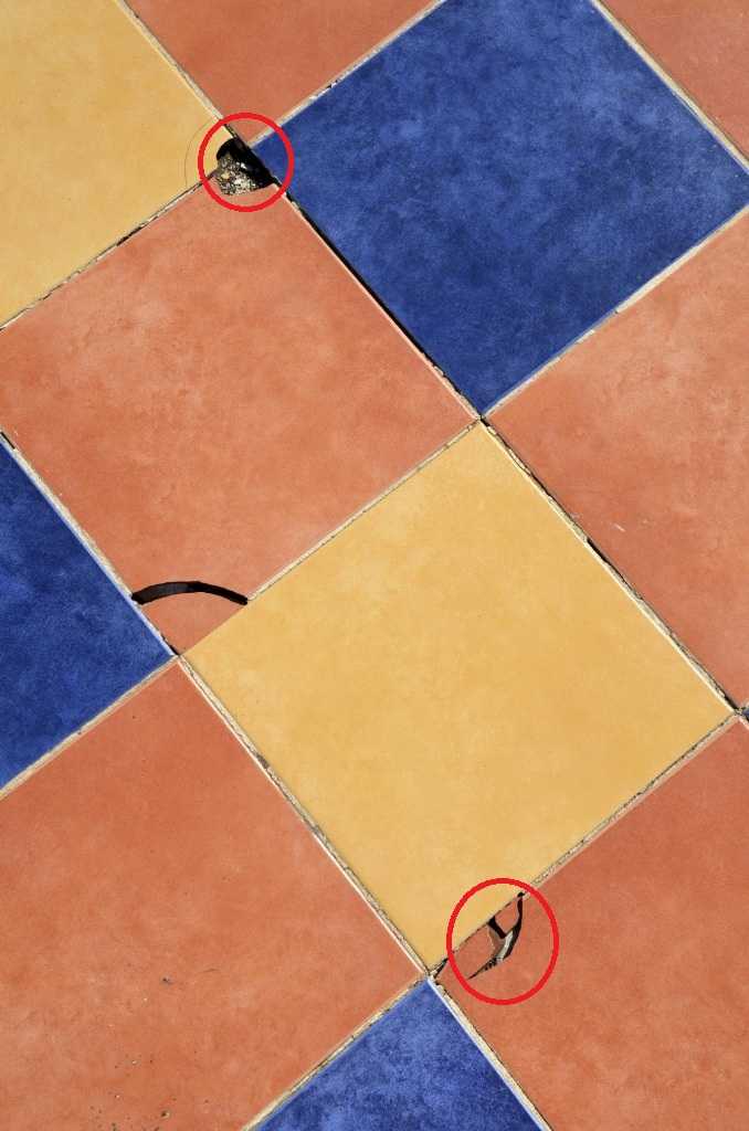 Chipped Tiles
