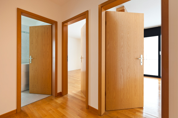 24 Different Types of Doors | Comprehensive Classification!