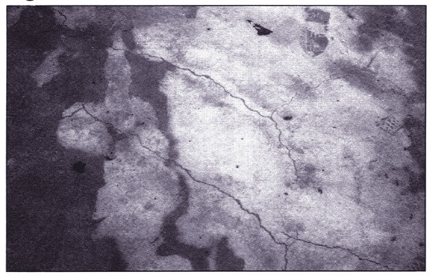 Typical Types of Plastic Settlement Cracks in Concrete