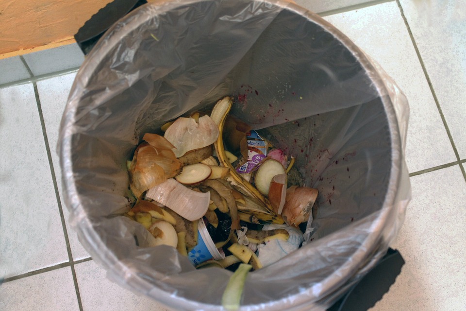 How to Manage Kitchen Waste at Your Home