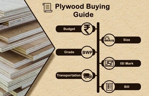 Plywood-Buying-Guide