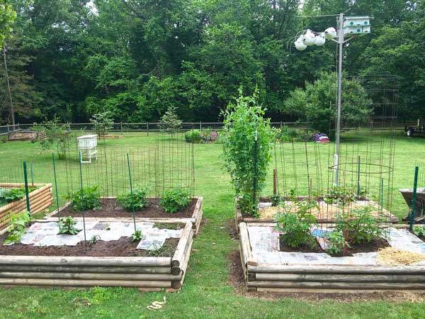 Cover the Beds – Kitchen Garden