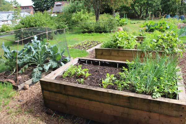 Plant the Raised Beds-Kitchen Garden