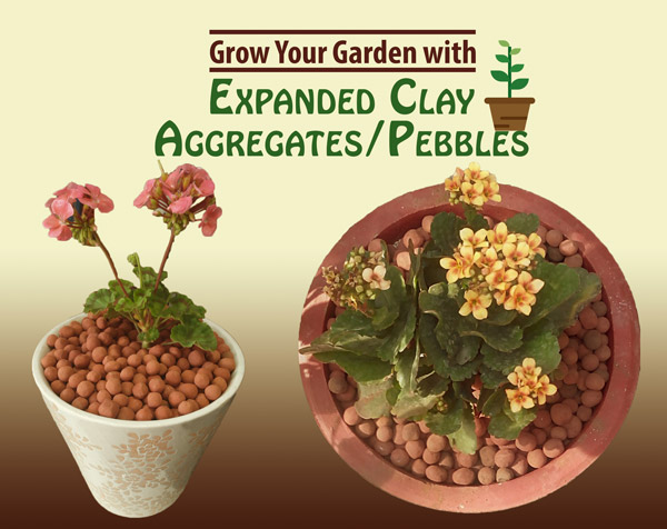 Expanded Clay Aggregates in Pots