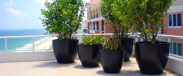 Fiberglass Plant Pots