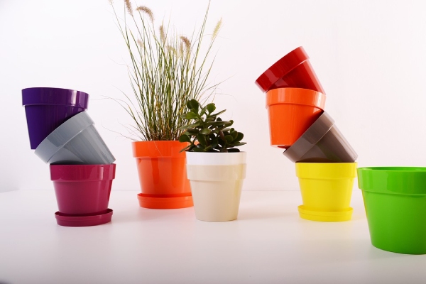 Plastic Pots Plant