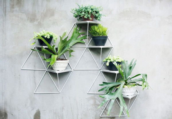 Potted Plants as natural decoron The Walls