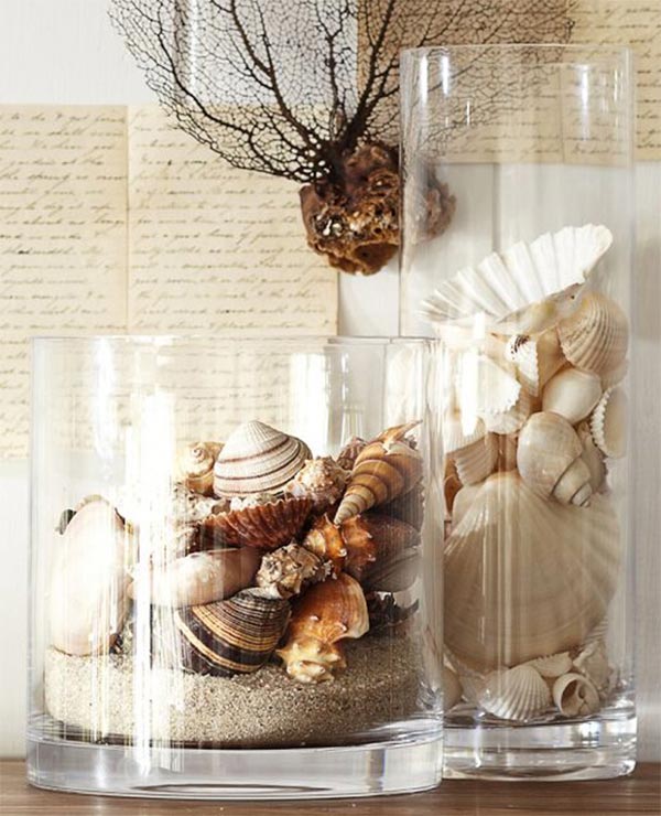 Seashells in glass as natural decor