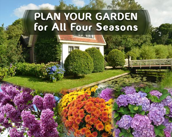 Make the Right combination of trees, shrubs, & perennials flowers