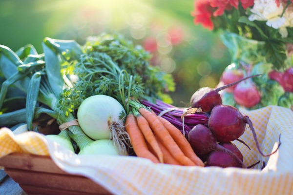 Organic Vegetables in Basket