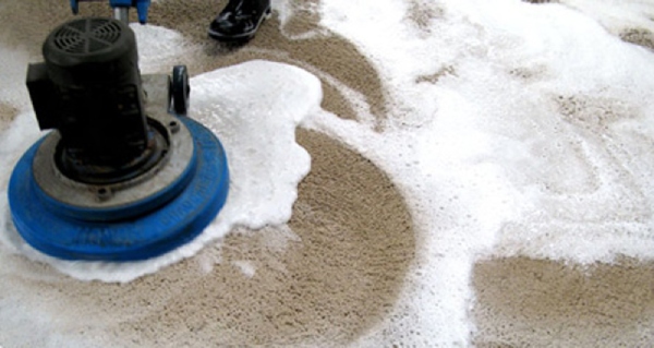 Shampoo Cleaning of Carpet
