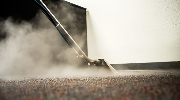 Steam Cleaning of Carpet