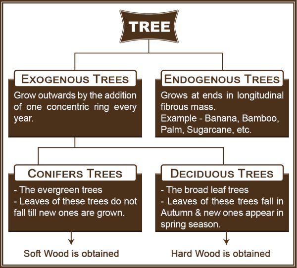 Tree Classification Based on Mode of Growth.