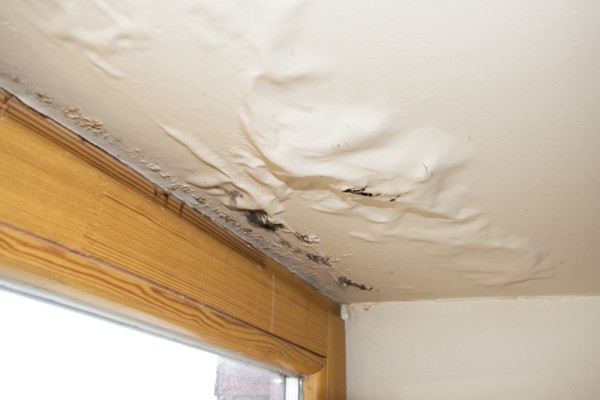 Damage to Ceiling of Home Due to Water Leakage