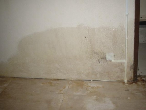 Dampness on Wall Due to Water Leakage