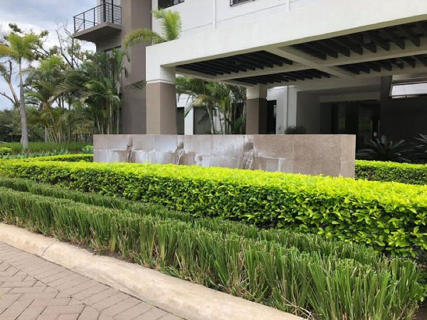 Landscaping with Khus Grass