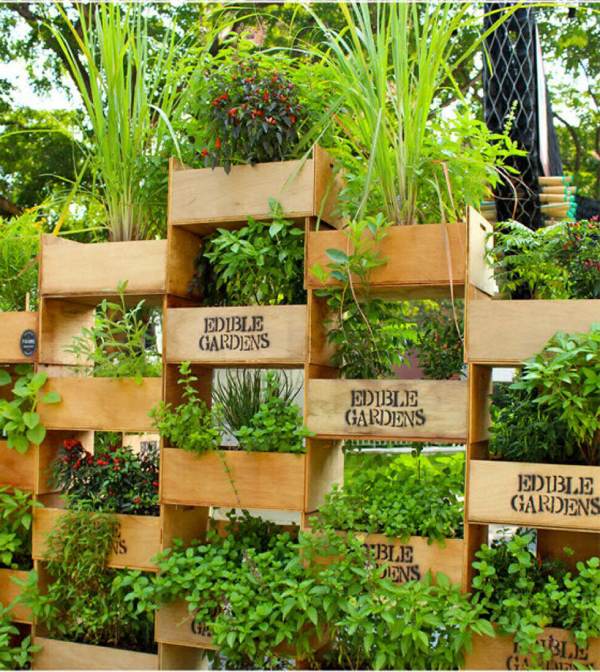 Vertical gardens for outdoors