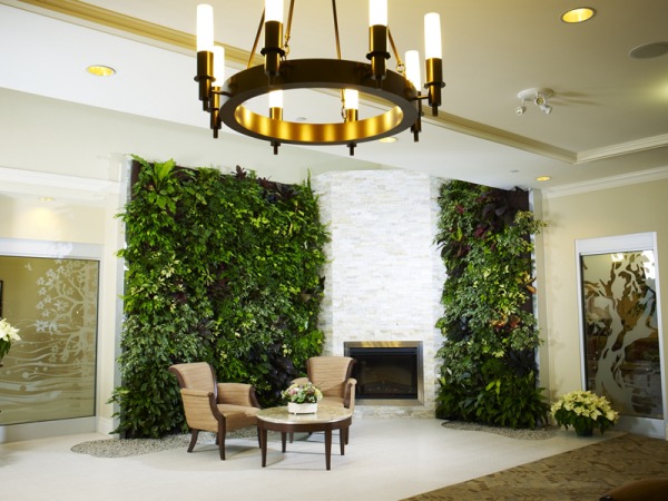 Green Wall Improve Indoor Air Quality