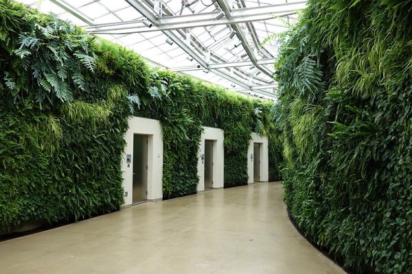Green Walls Lower the Energy