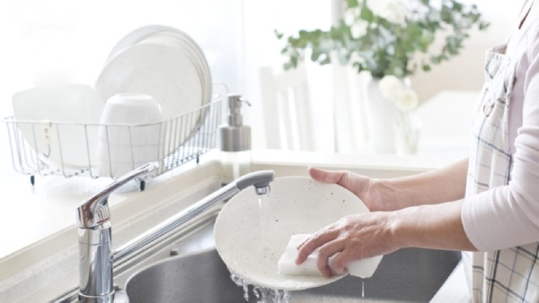 Wash Dishes Everyday to Prevent Pest