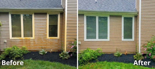 Before and after pressure washing the house