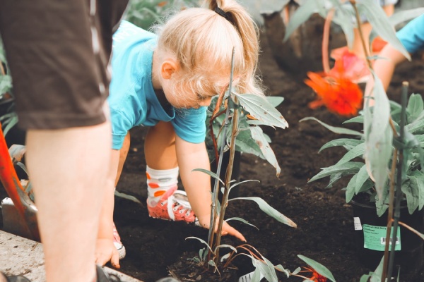 Gardening Creates Empathy in Children