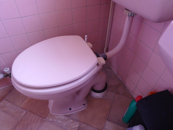 Check the Toilet Base