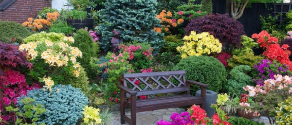 Colourful Home Garden