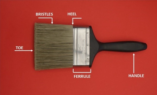 Parts of Paint Brush