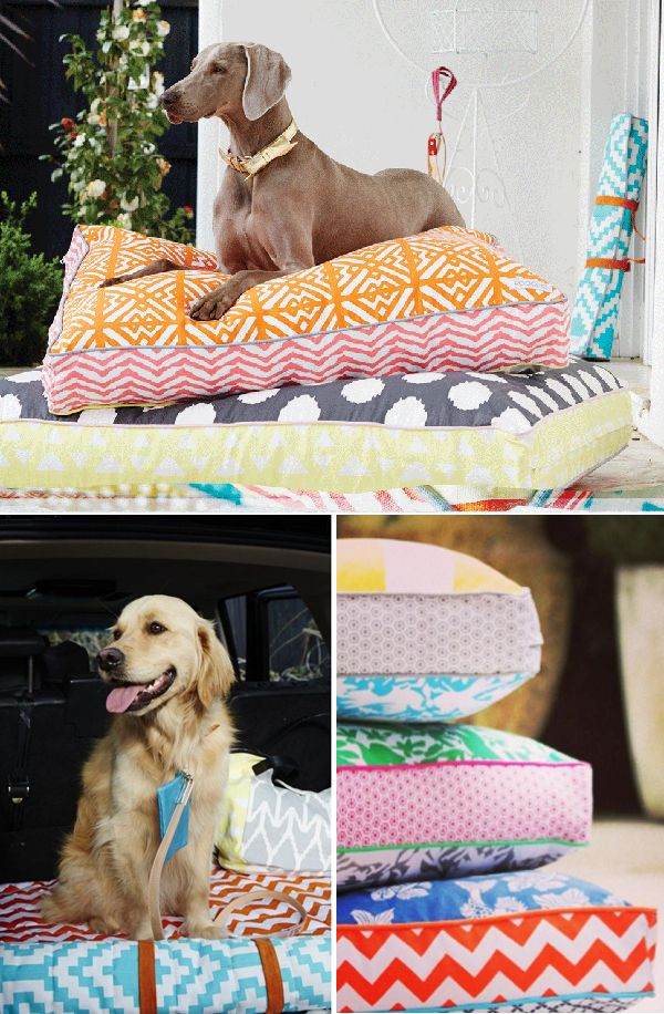 Colour of Pet’s Pillows, Blankets & Bed