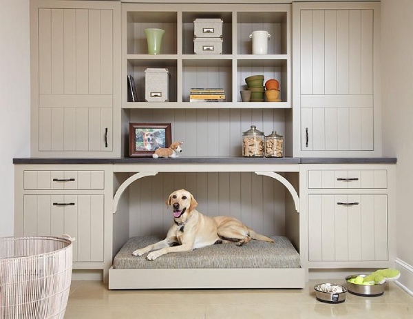 Match the Room’s Décor to the Pets’ Area