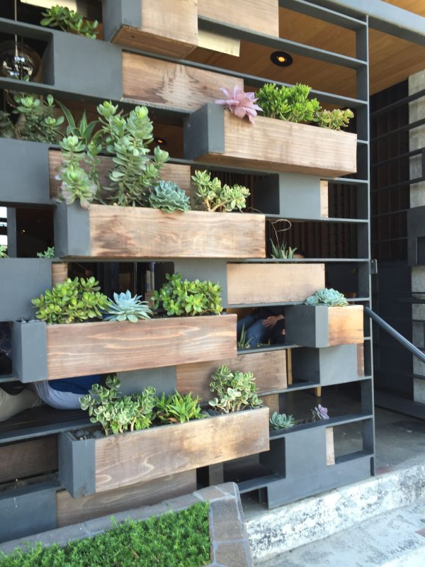 Plants on Wooden Wall Shelves