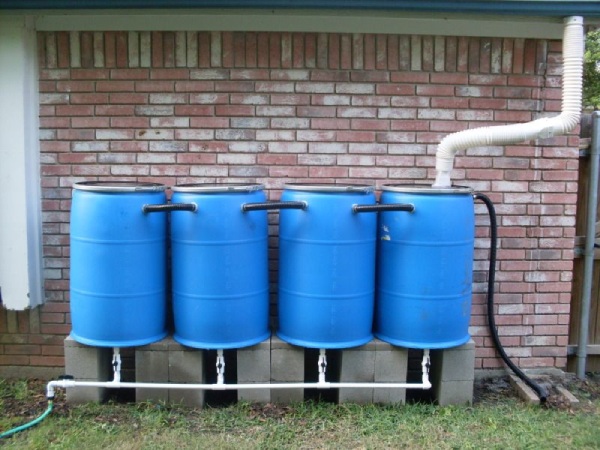 Rainwater Harvesting through Rain Barrels