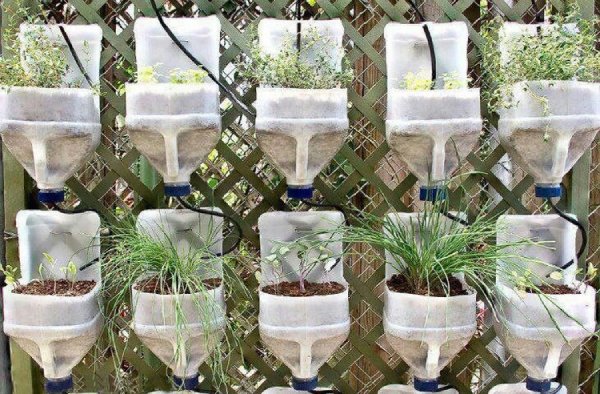 Recycled Household objects for Plant Containers