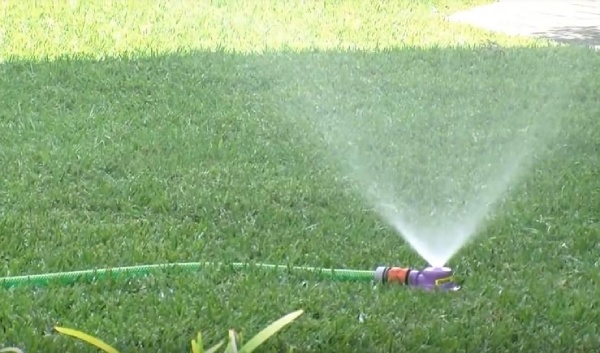 Watering the Lawn