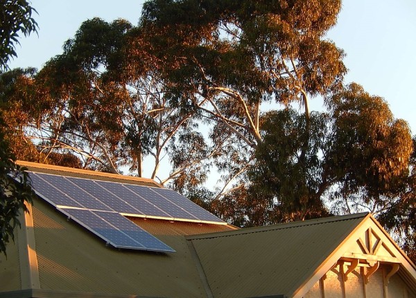 Tress Obstructing Solar Panels