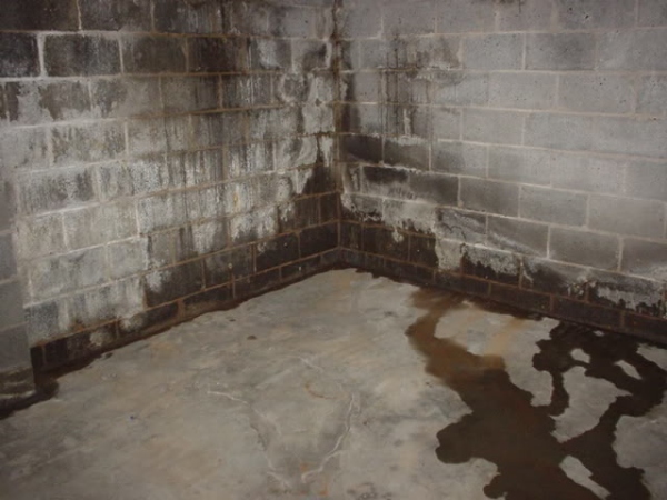 Water Leakage in Home From Foundation