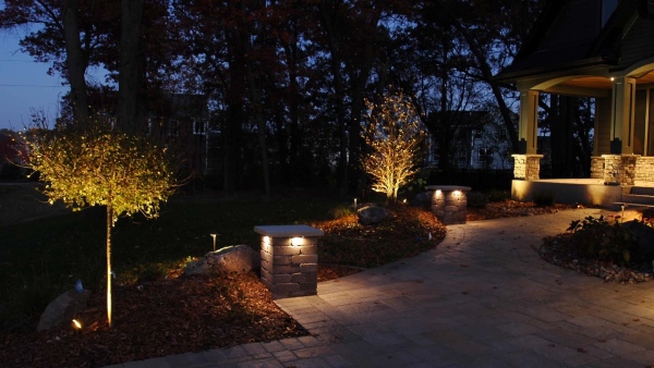 Lighting at the Base of Trees