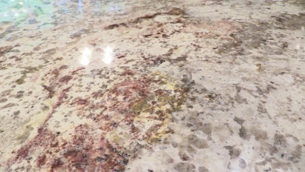 Organic Stains on the Surface of Granite