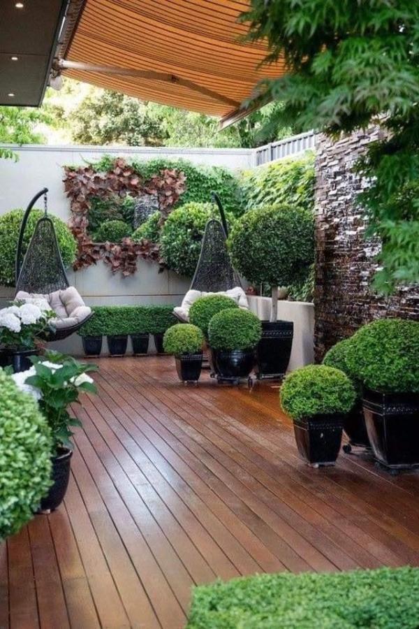 Outdoor Living space with Plants
