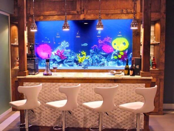 Aquarium-like bar