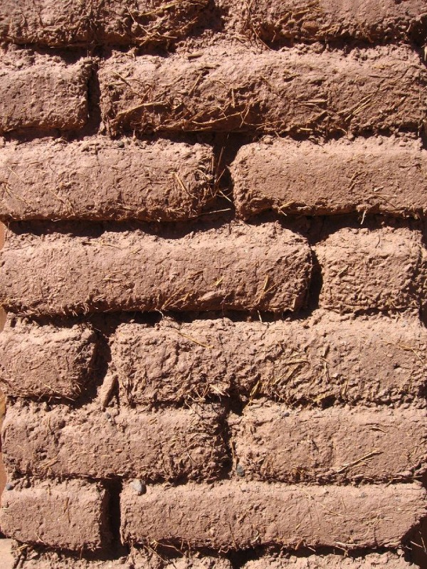 Wall Made with Mud Bricks Reinforced by Natural Fibres