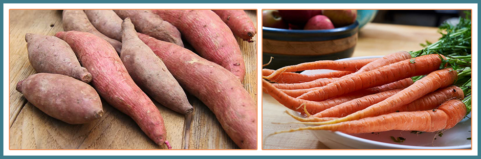 Carrots and Sweet Potatoes Can be washed in Dishwasher