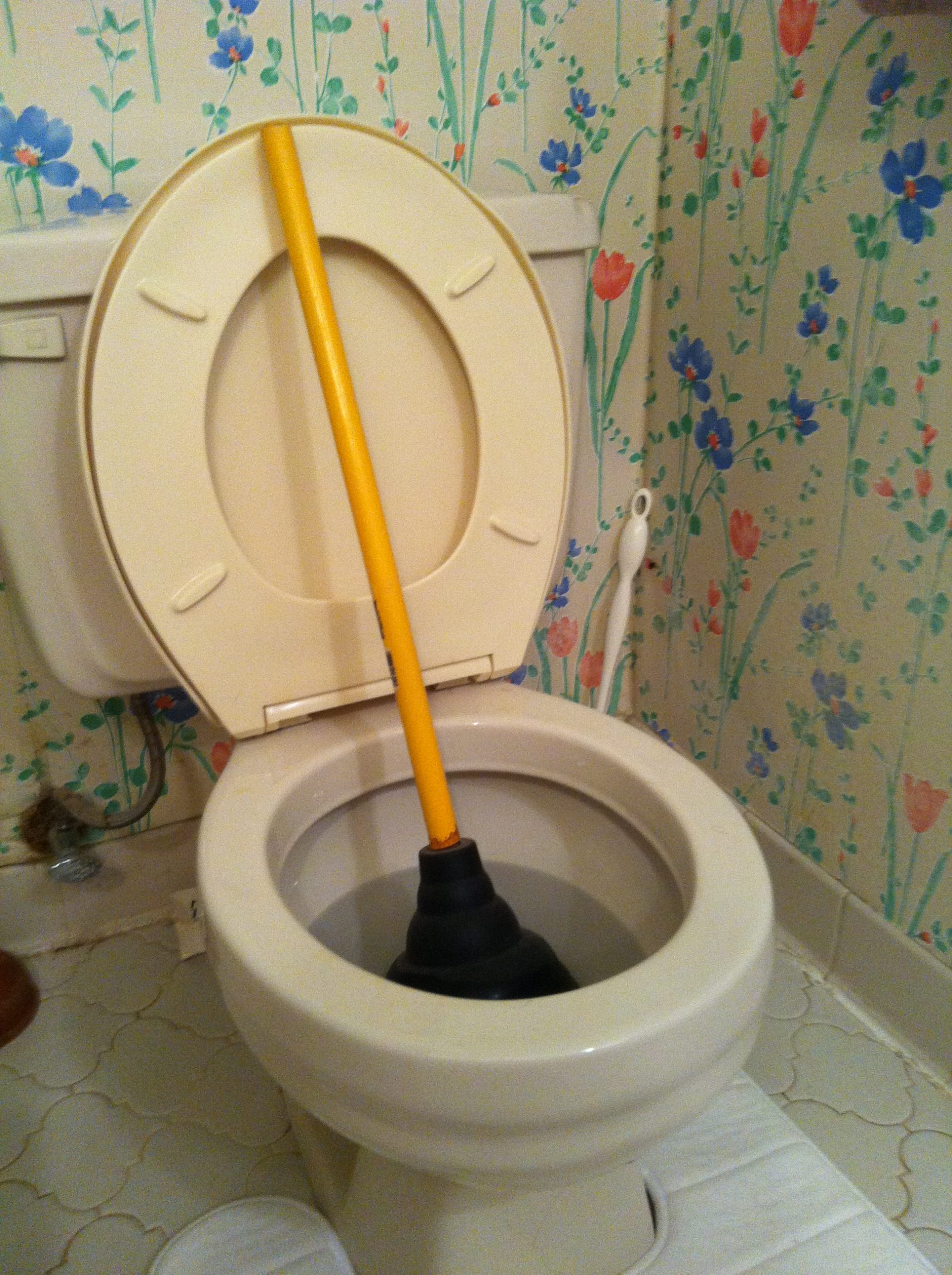 Drain & Toilet Plunger to Avoid Clogging
