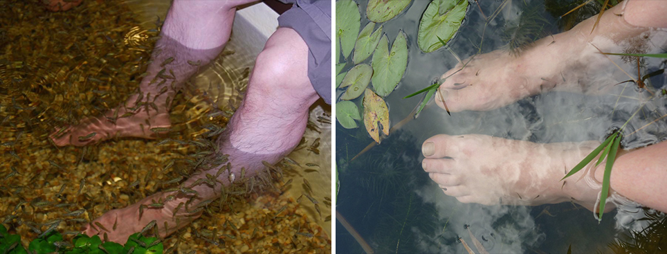 Foot Therapy in Zen Ponds