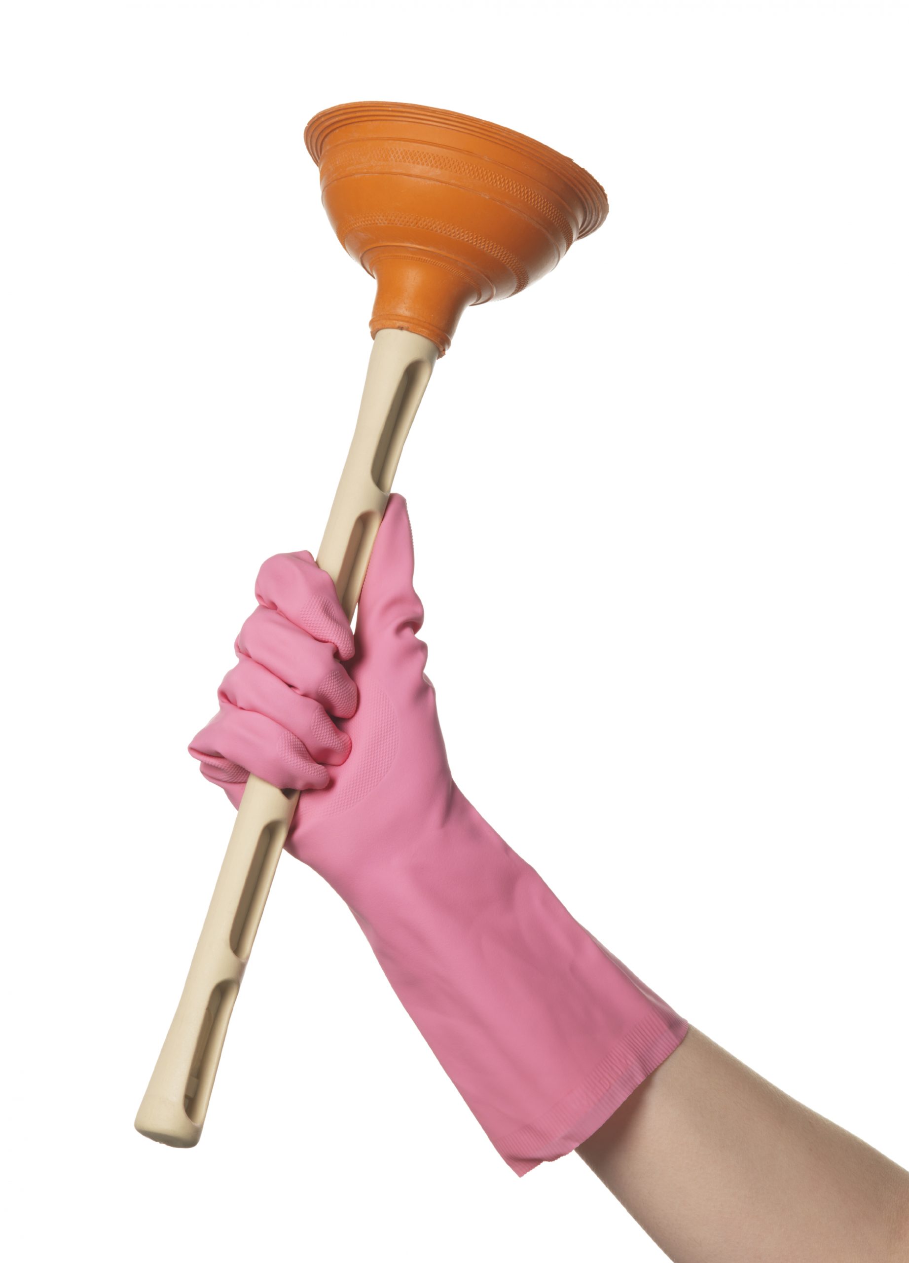 Plunger for Home