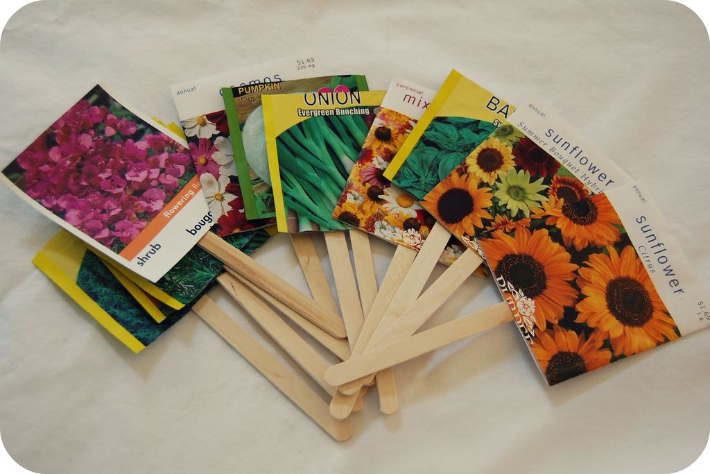 Popsicle Stick and Seed Packets