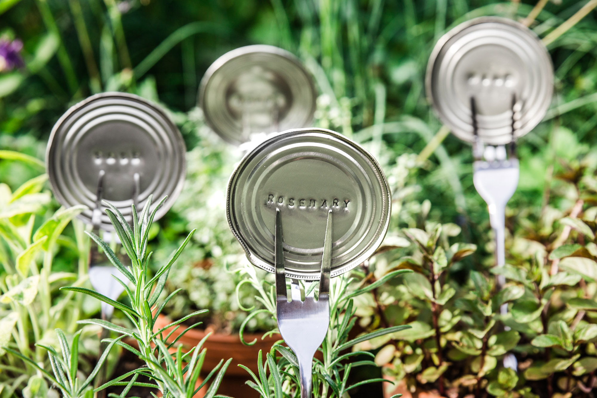 Tin Lid Plant Markers