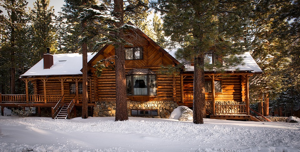 Wood Cost for Log Cabin